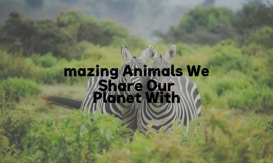 mazing Animals We Share Our Planet With