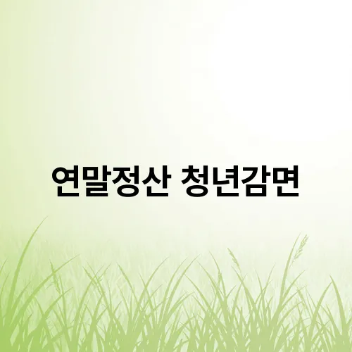연말정산 청년감면