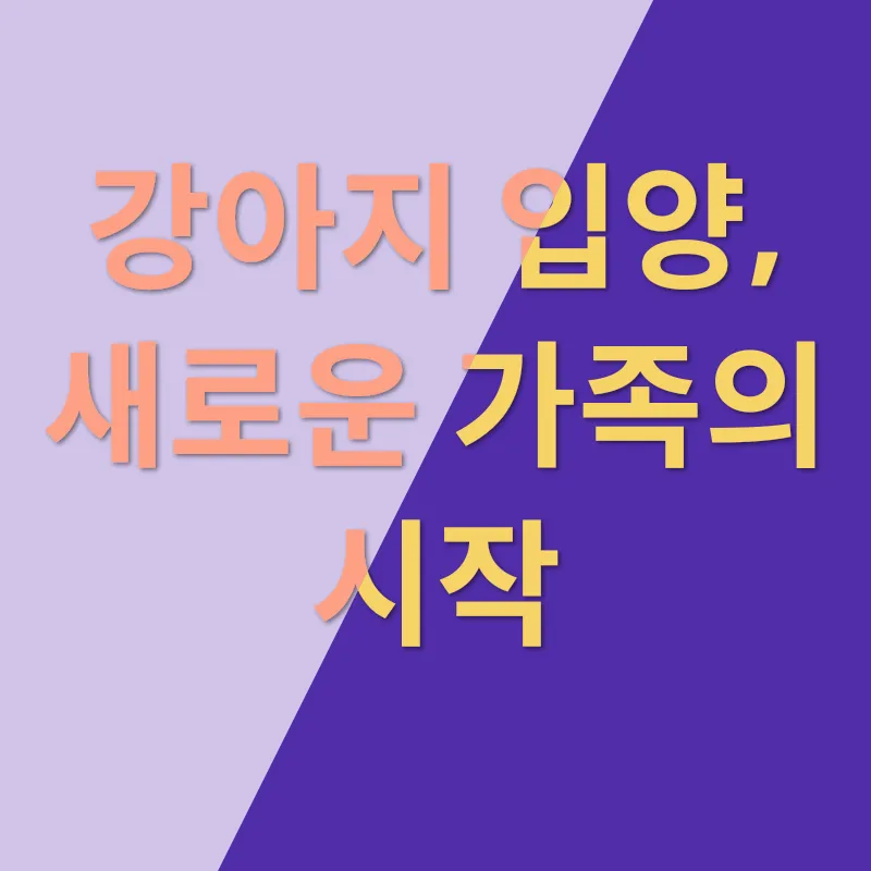 강아지입양_3