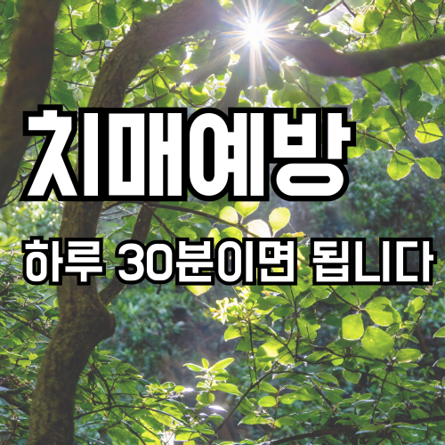 치매 예방에 좋은 블루베리, 호두, 생선 등의 음식이 담긴 건강한 식사
