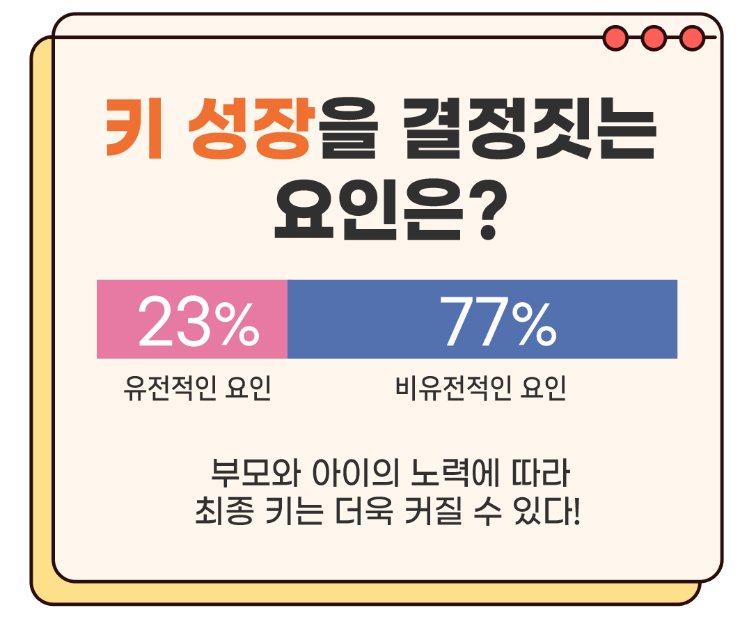 키 성장 결정짓는 요인