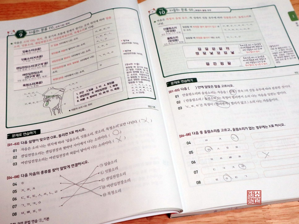 연습 숨마주니어 중학교어 문제집중 중학교어 문법 22