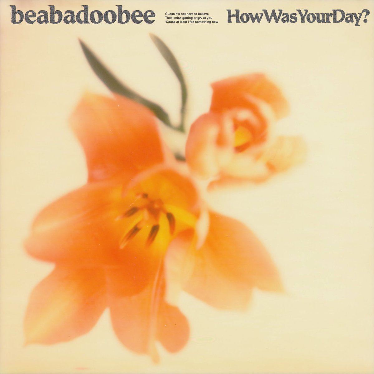  beabadoobee - How Was Your Day?