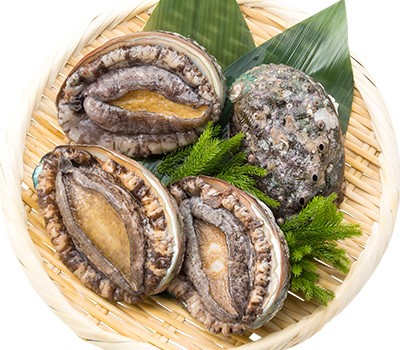 몸에 좋은 전복!효능 및 부작용 열량, 암수 전복 몸에 좋은 전복!효능 및 부작용 열량, 암수 전복