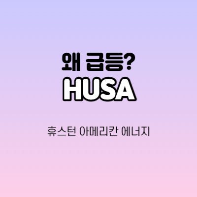  HUSA - 휴스턴 아메리칸 에너지 어떤 기업인가요?