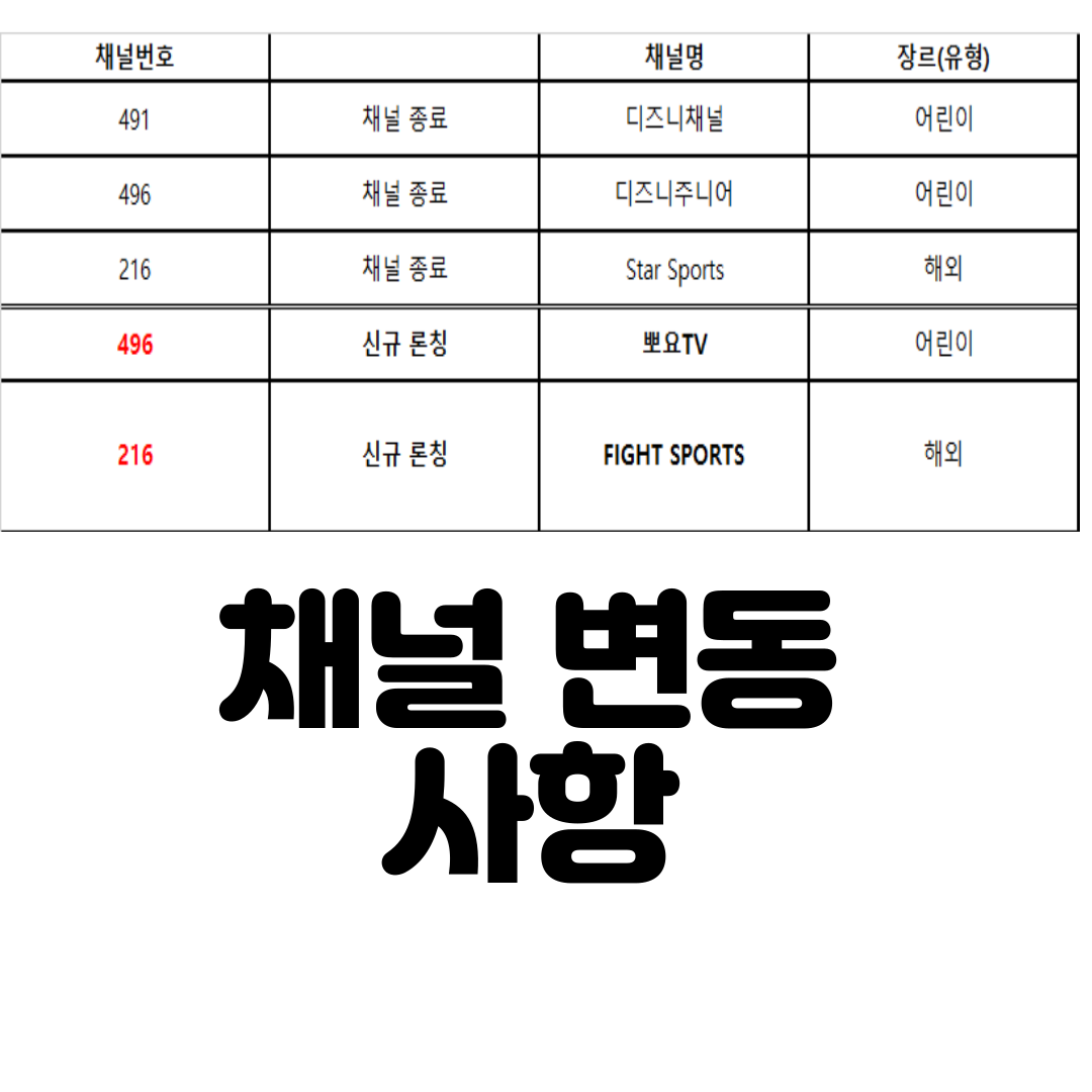  스카이라이프 채널편성표 변동사항