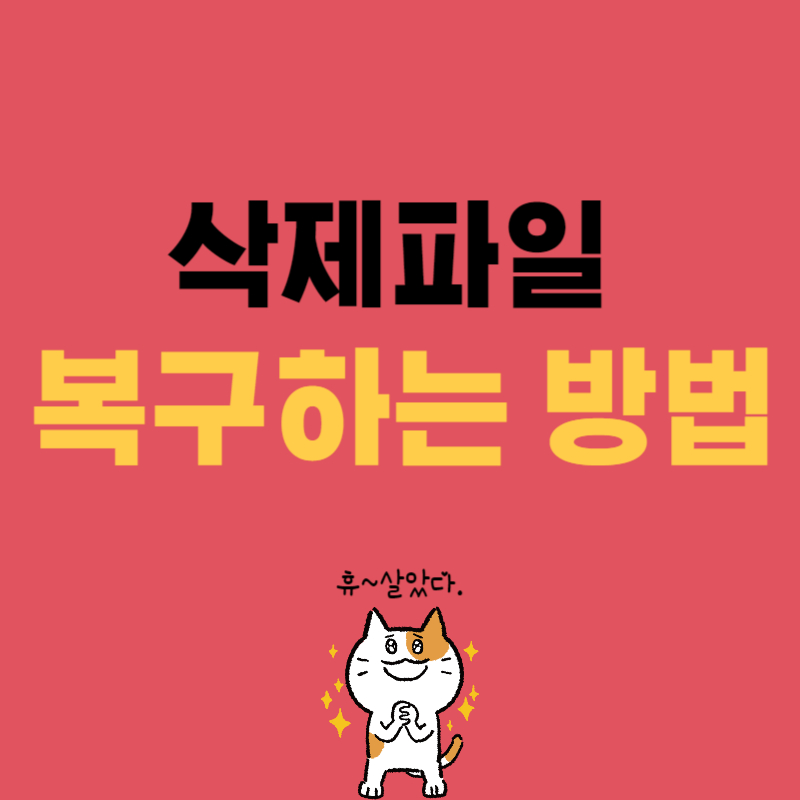 삭제파일 복구