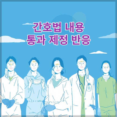 간호법 내용 통과 제정 반응