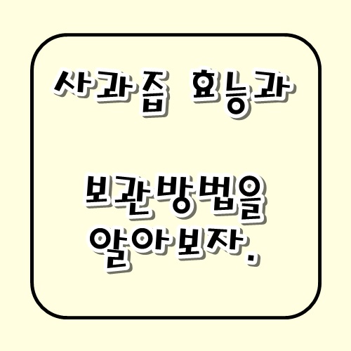  사과즙효능과 보관방법정도는 알고 먹자