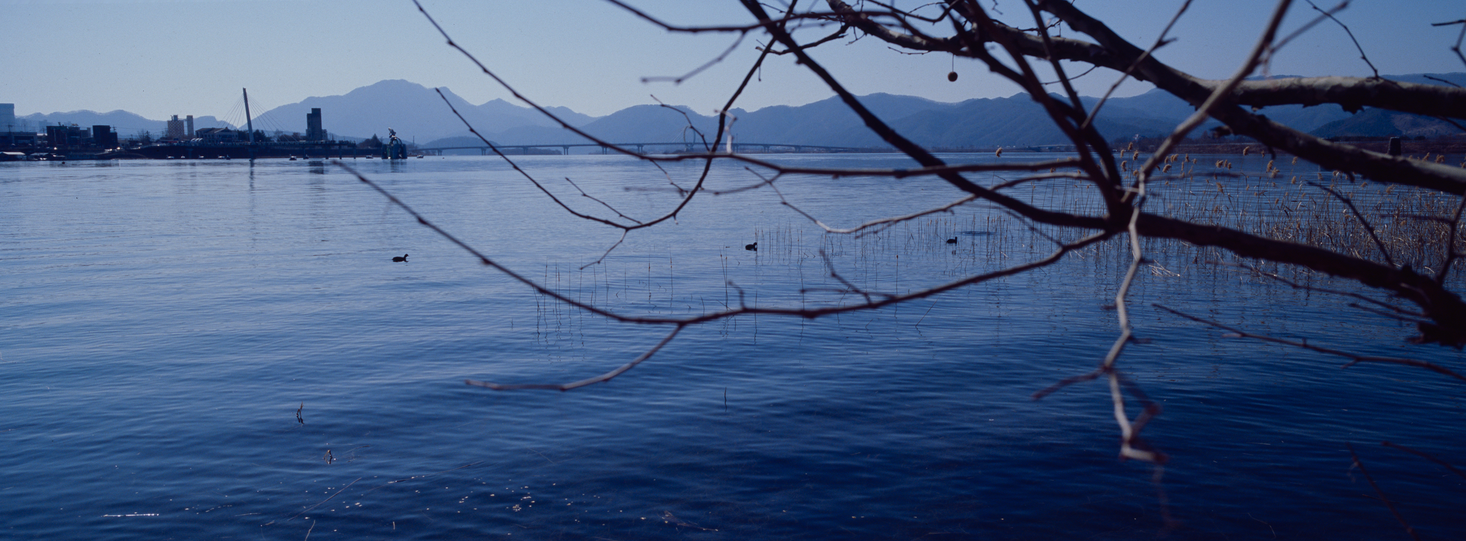 [X-Pan II] 2023.02 11