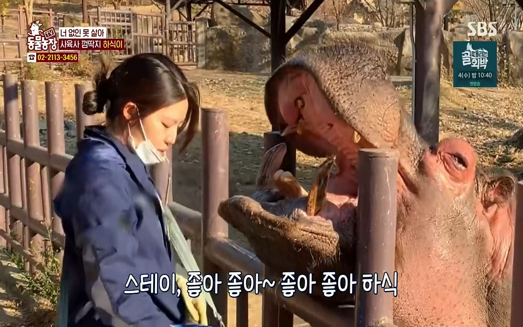 TV 동물농장.E1067.220501p.H264-F1RST.mp4_20220501_181704.713.jpg