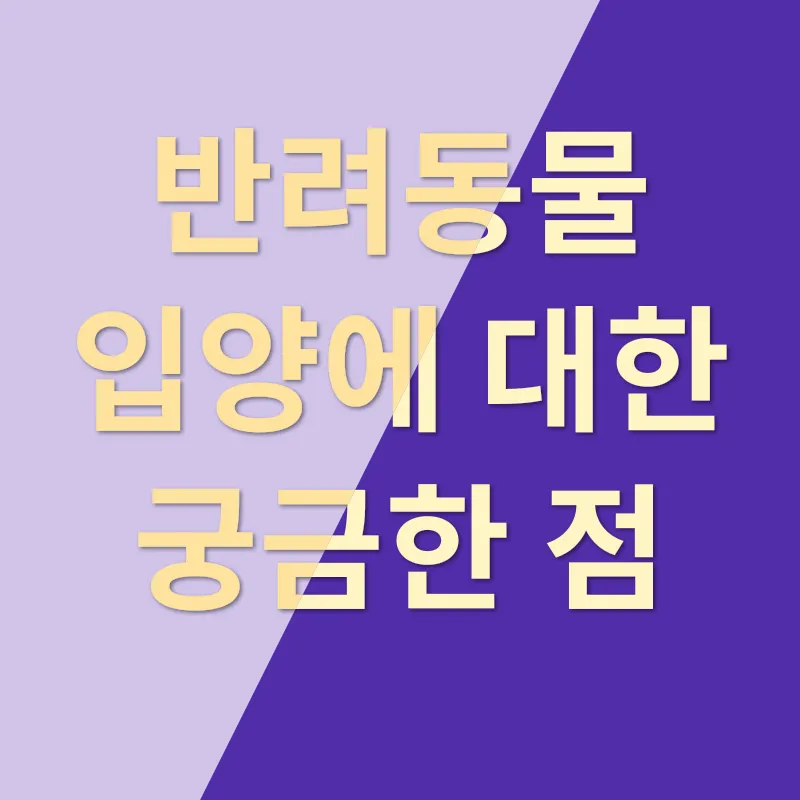 반려동물 책임감 있는 입양_4