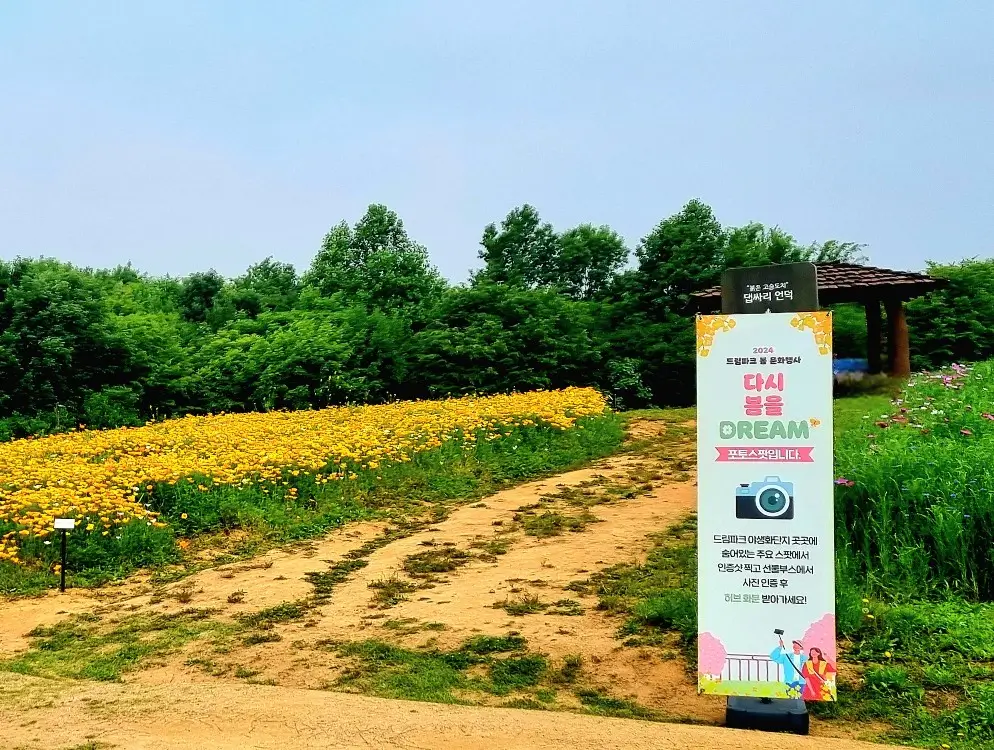 인천 드림파크 야생화단지: 봄꽃 축제 행사, 허브 화분 받기 이벤트 코스 안내, 카페, 주차