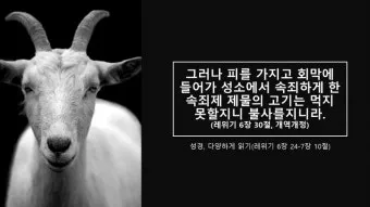 레위기 7장 제사장 묵상_24