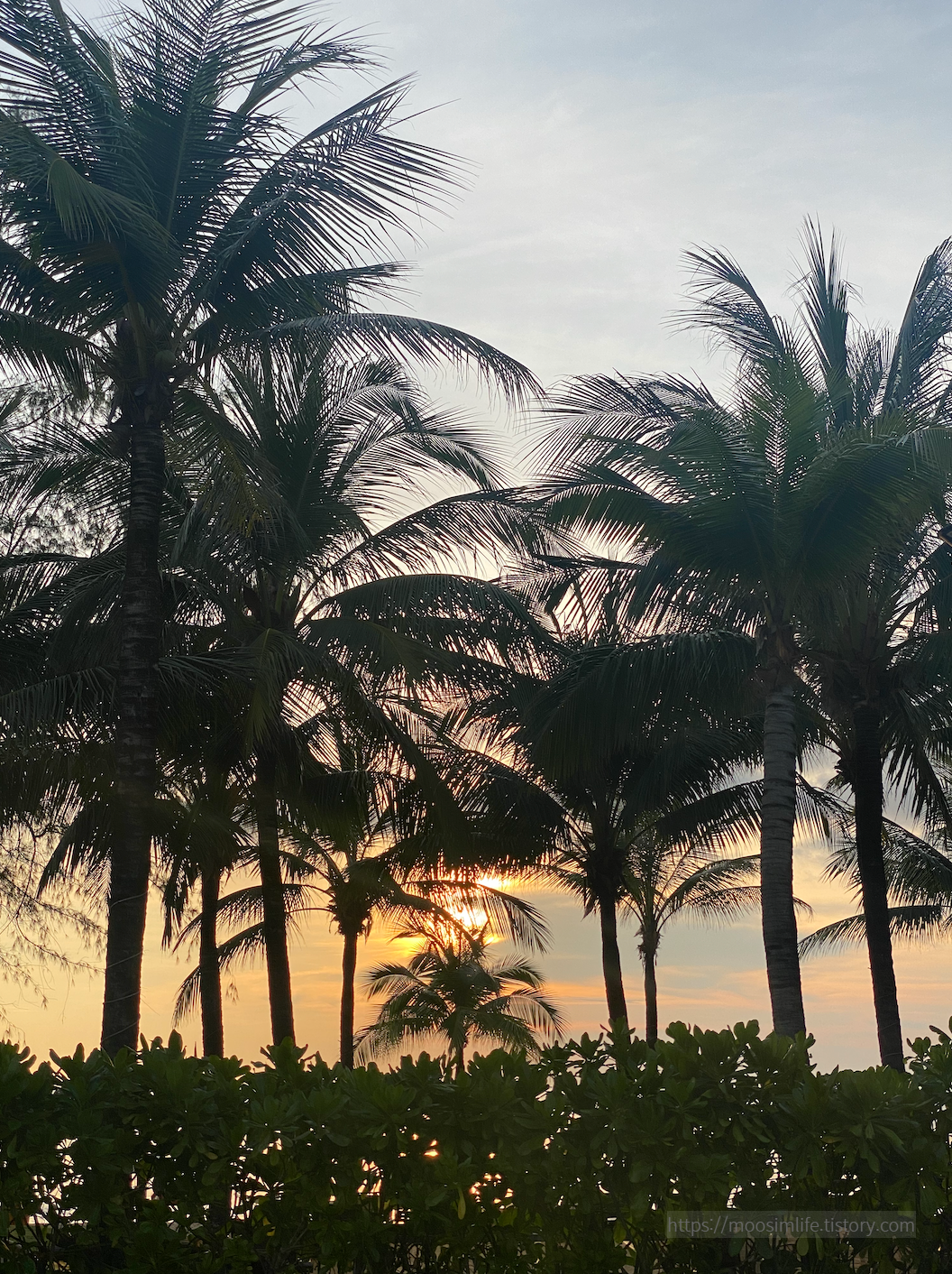 푸꾸옥 베스트 웨스턴 프리미어 소나씨. Best Western Premier Sonasea Phu Quoc.