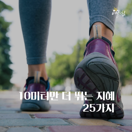  [매일아침좋은글] 10미터만 더 뛰는 지혜 25가지