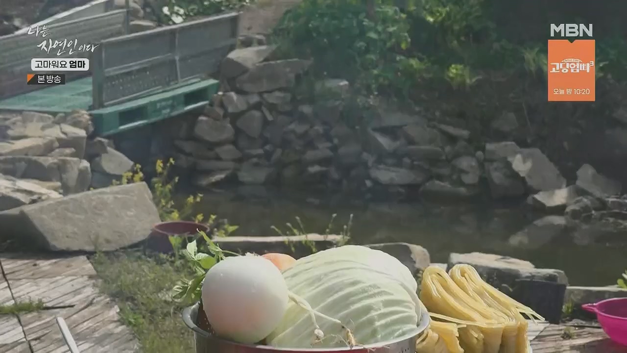 나는 자연인이다.E554.230518p.H264-F1RST.mp4_20230518_194522.540.jpg