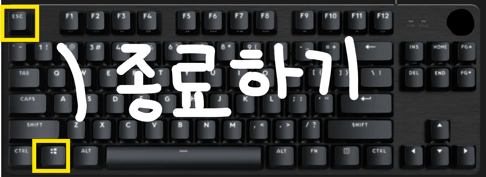 인터넷 화면 크기조절 방법- 윈도우 돋보기 단축키로 확대 축소 하기