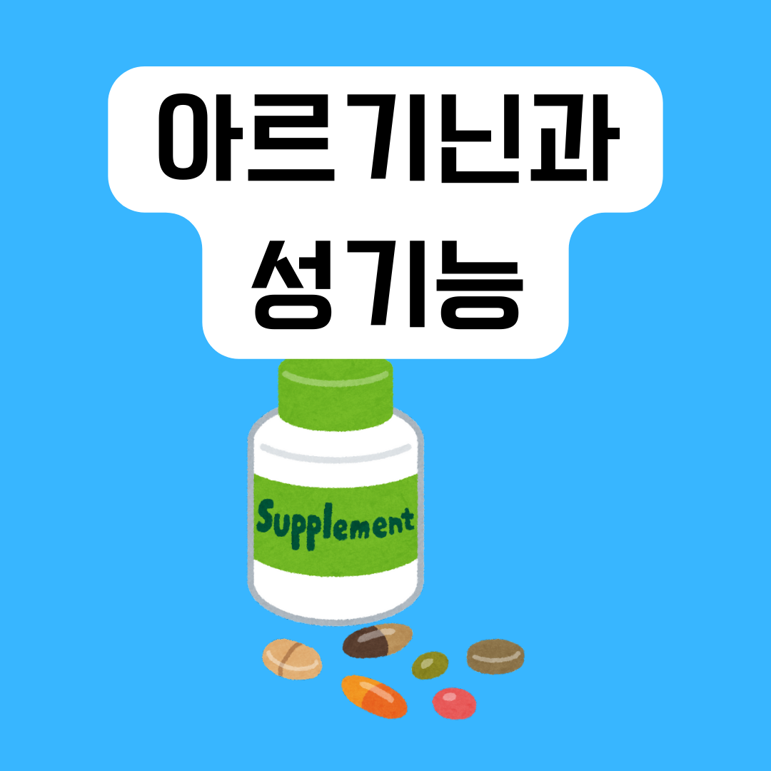 아르기닌과-성기능