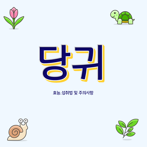  당귀로 혈액 순환과 면역력 증진하기 당귀효능 부작용 섭취방법