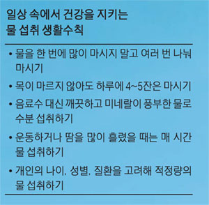 일상 속에서 건강을 지키는 물 섭취 생활수칙