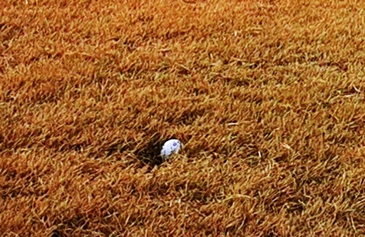 마제스티 1박2일 함평 엘리체CC 62