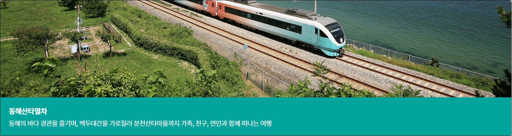 당일치기 기차여행