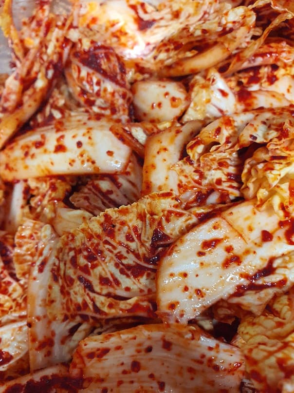  겉절이 맛있게 담그는법 절이지 않는 겉절이 황금레시피
