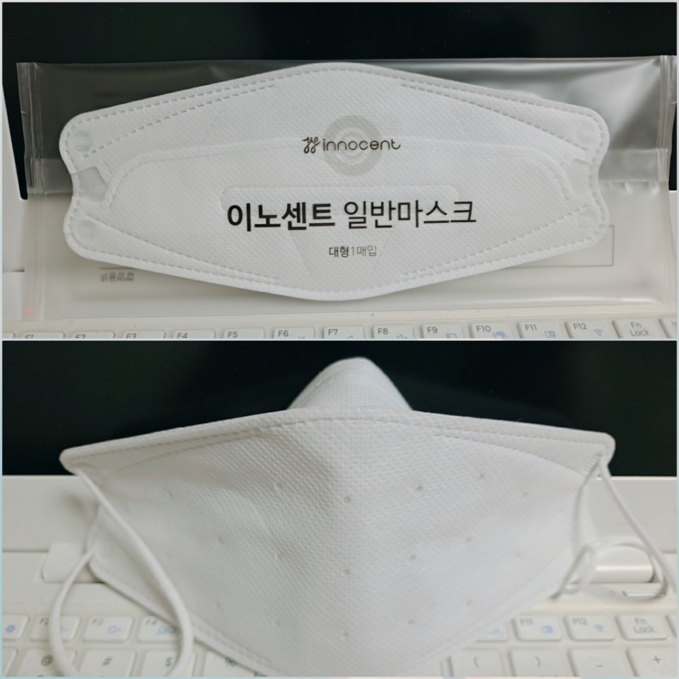  일반 비말 마스크 이용