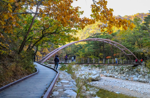 설악산 주전골