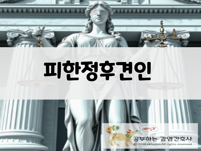 법률 상식 &quot;피한정 후견인&quot; 이해하기: 뜻, 조건, 권리와 후견인