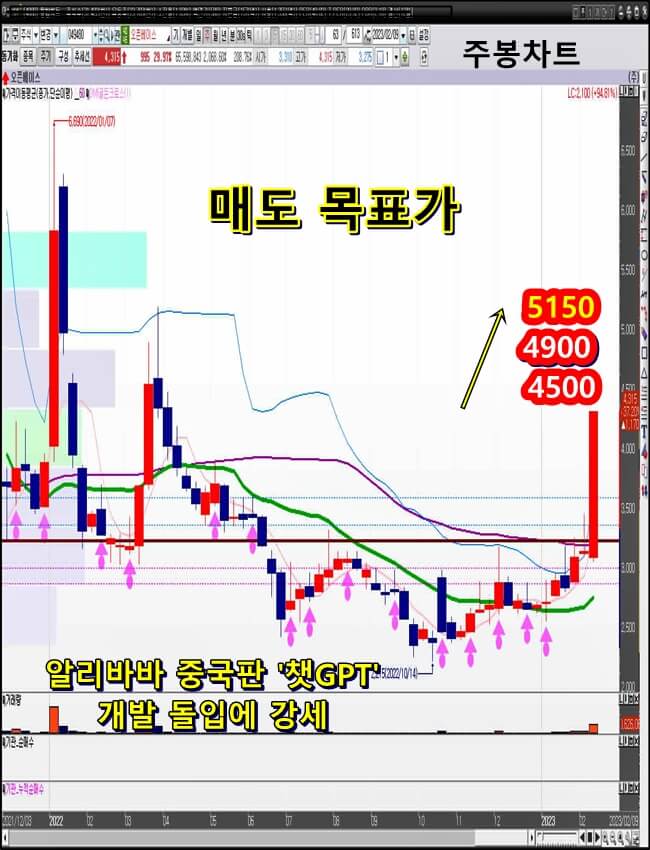 오픈베이스-주봉-차트