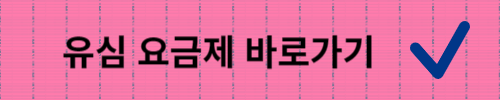 알뜰폰 진행중인 이벤트/유심요금제
