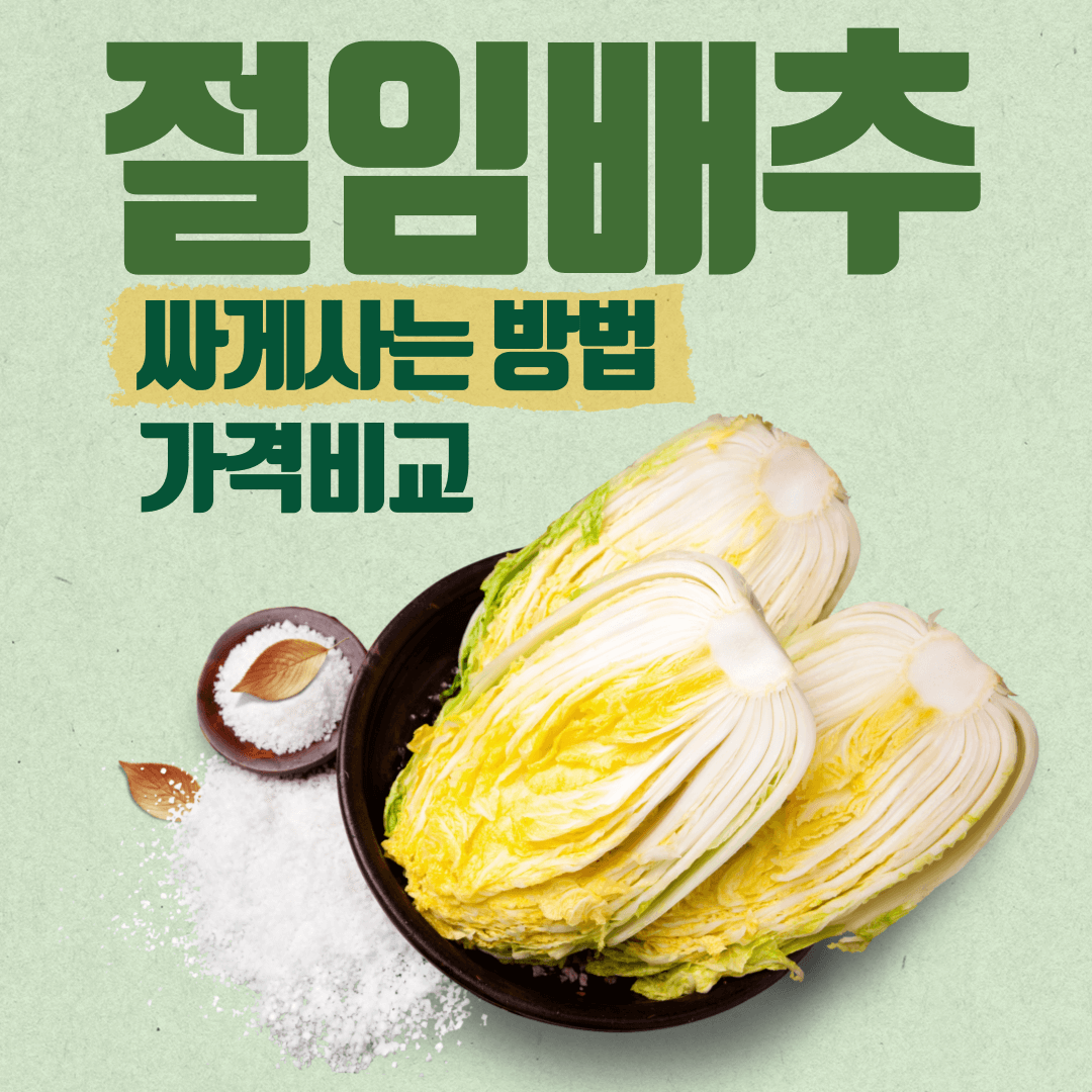 김장철 절임배추