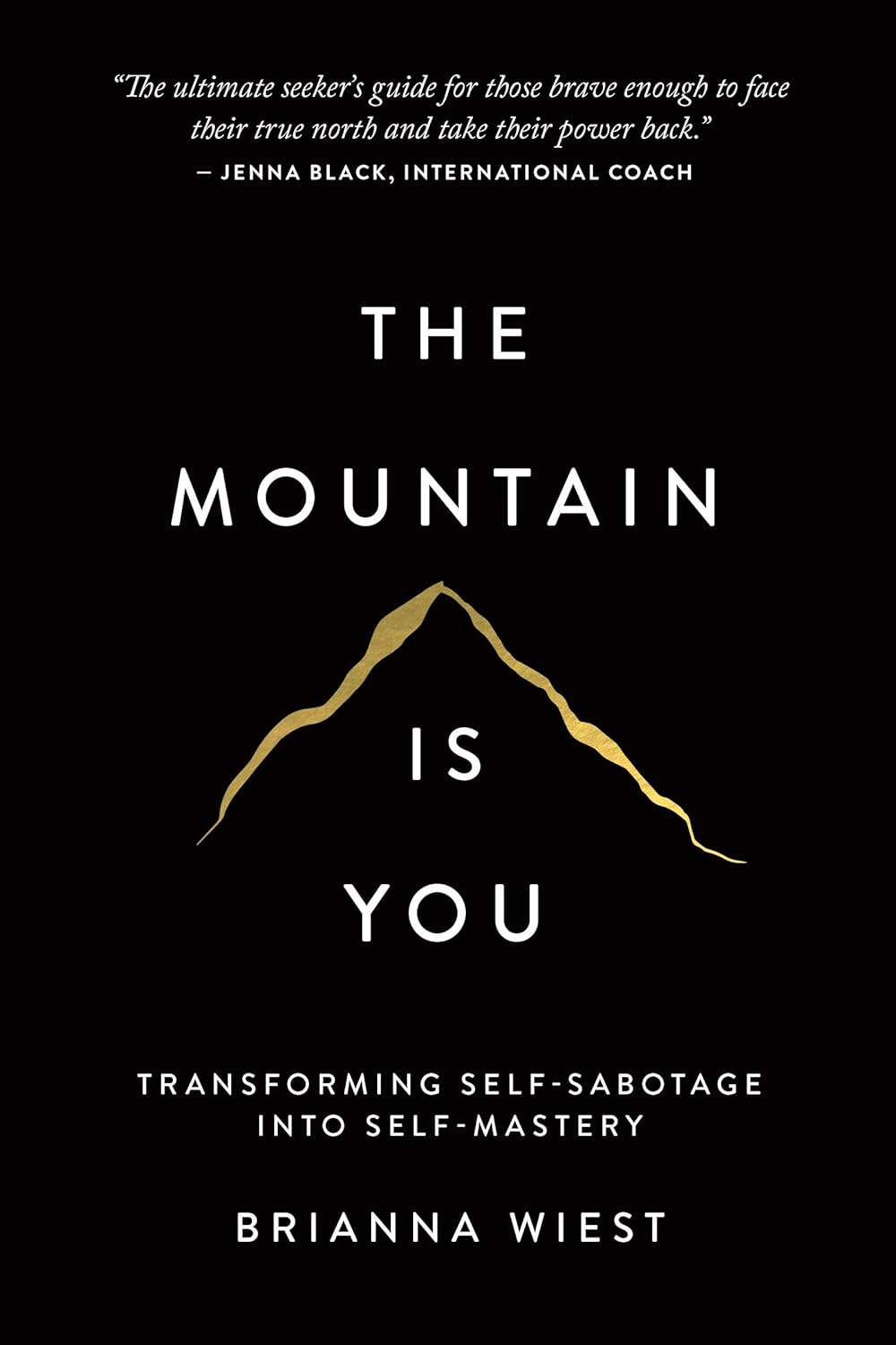 ‘The Mountain Is You’ 책 표지