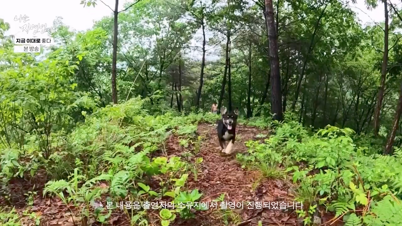 나는 자연인이다.E605.240516p-NEXT.mp4_20240516_194922.454.jpg