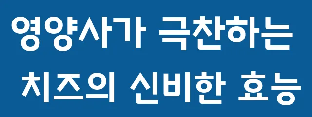 영양사가 극찬하는 치즈의 신비한 효능