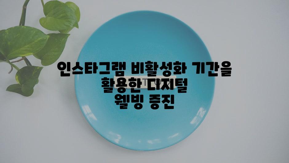 인스타그램 비활성화 기간을 활용한 디지털 웰빙 증진