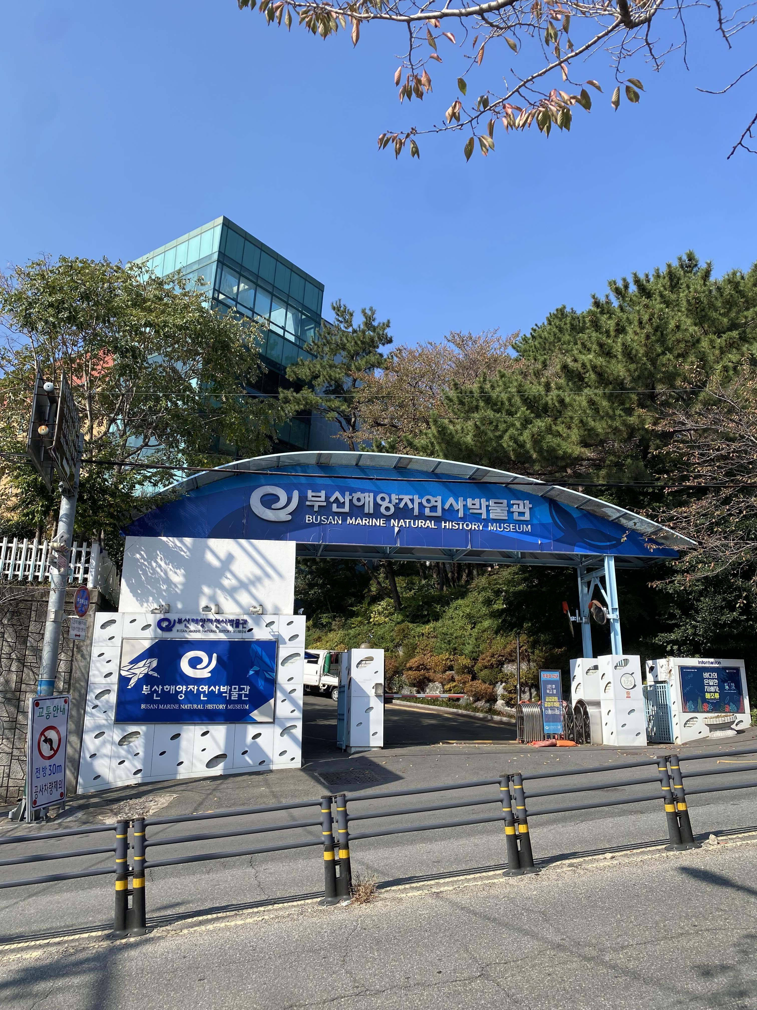 차밭골보리밥 대표 사진