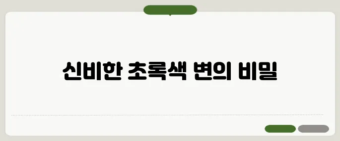 초록색 변 추천 지금 바로 해결해봐요