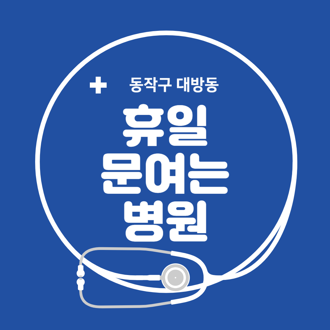 서울시 동작구 대방동 일요일 진료 휴일 문 여는 병원