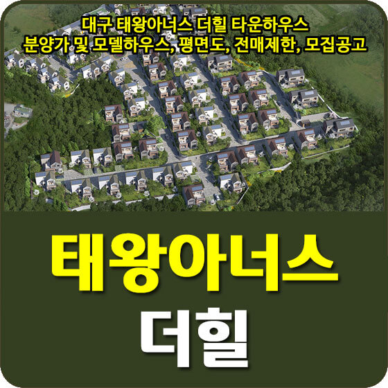  대구 태왕아너스 더힐 타운하우스 분양가 및 모델하우스, 평면도, 전매제한, 모집공고 안내