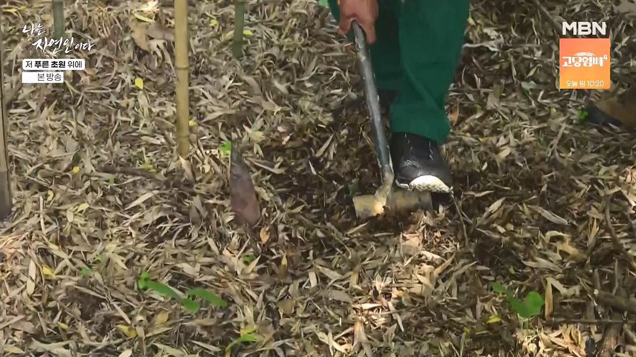 나는 자연인이다.E607.240530p-NEXT.mp4_20240530_200515.317.jpg