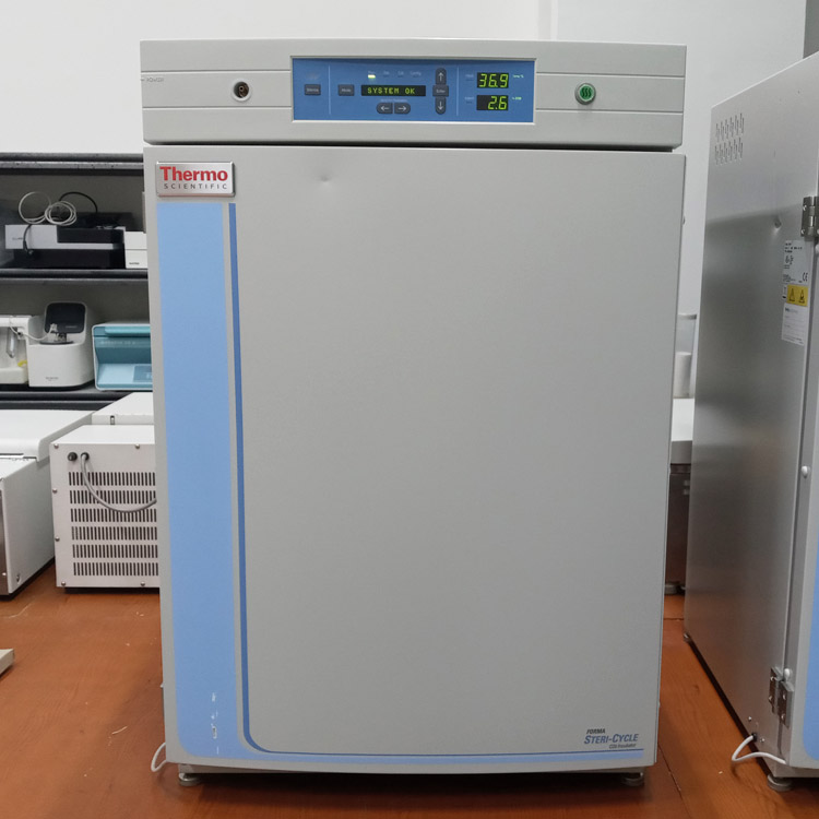 Thermo Forma SteriCycle CO2 Incubator Model 371GP (미사용품) (1)