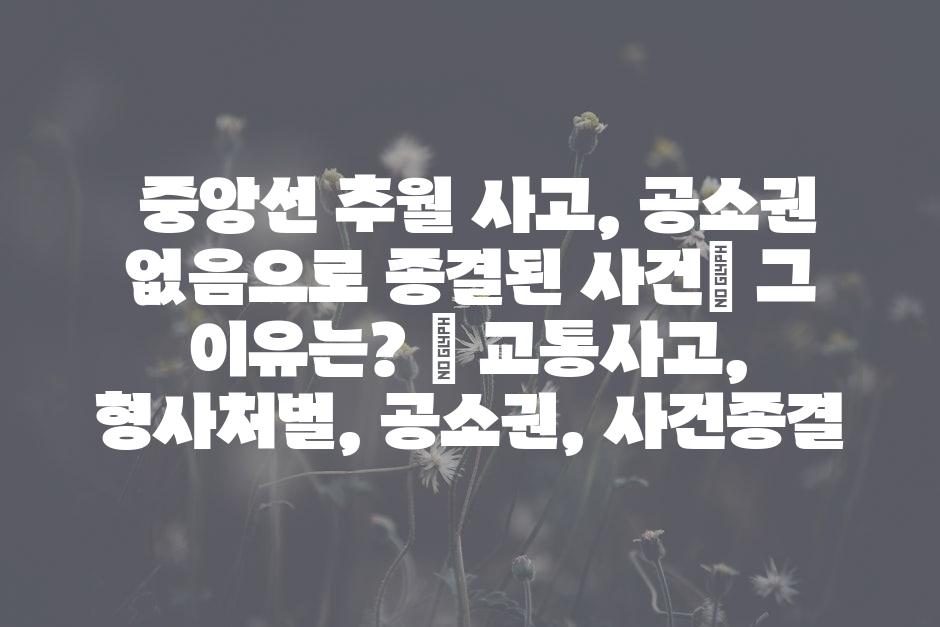샘플 (46)