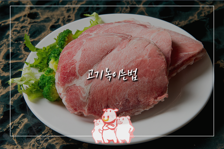 꽝꽝 언 고기 녹이는법 가장 빠른 방법 알아보기