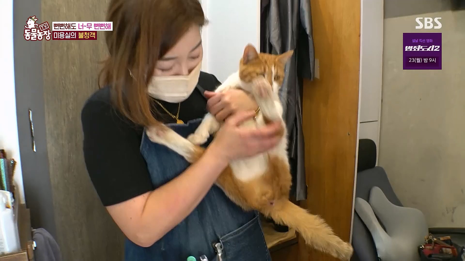 TV 동물농장.E1104.230115p.H264-F1RST.mp4_20230115_173205.712.jpg