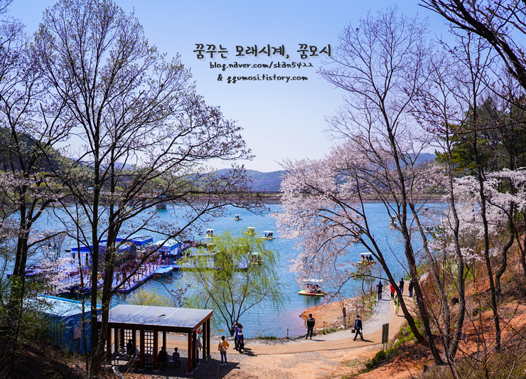 호수카페 이미지