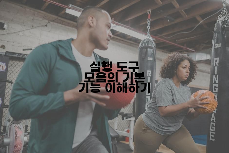 실행 도구 모음의 기본 기능 이해하기