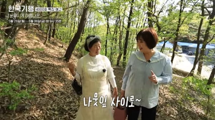 유바카비밀의숲-한국기행